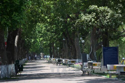 Bắc Bộ giảm nắng, Nam Bộ mưa dông nguy hiểm ảnh 1